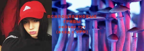 эйфоретик Алексин