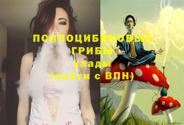 эйфоретик Алексин