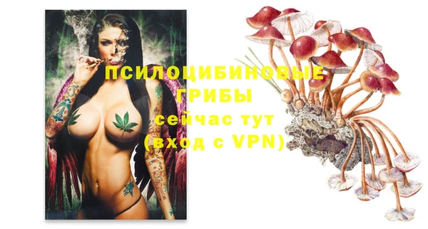 эйфоретик Алексин