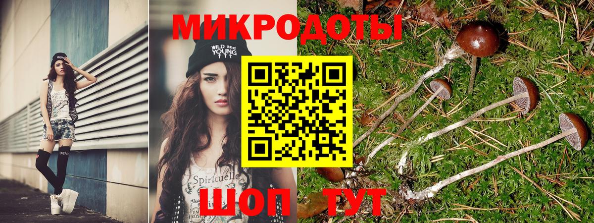 Старый Оскол  Псилоцибиновые грибы Magic Shrooms  Вход с VPN  Псилоцибиновые грибы прущие грибы 